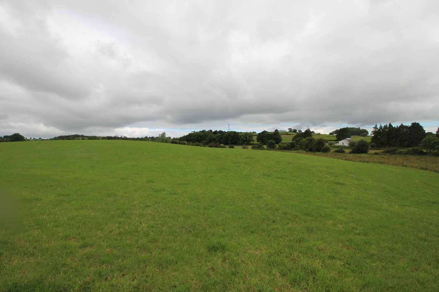 ballyhist, carnaross - 42.2 acres
